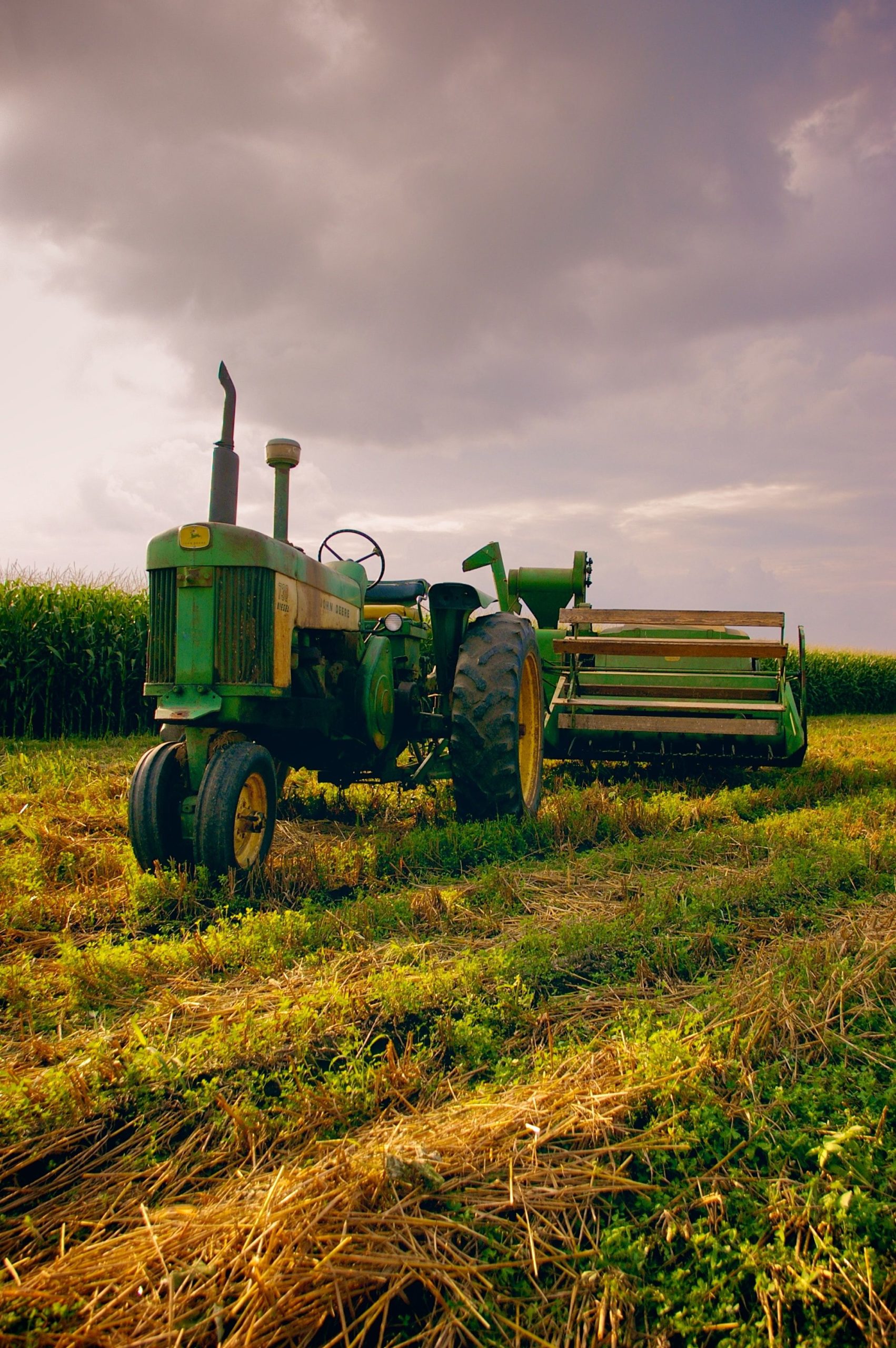 Greenane Farms - The Farm